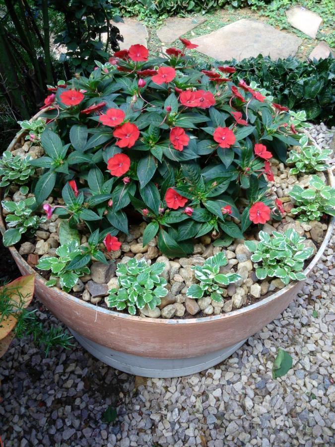 Eco Pousada Jardim Do Eden อัลโต ปาไรโซ เด โกยาส ภายนอก รูปภาพ