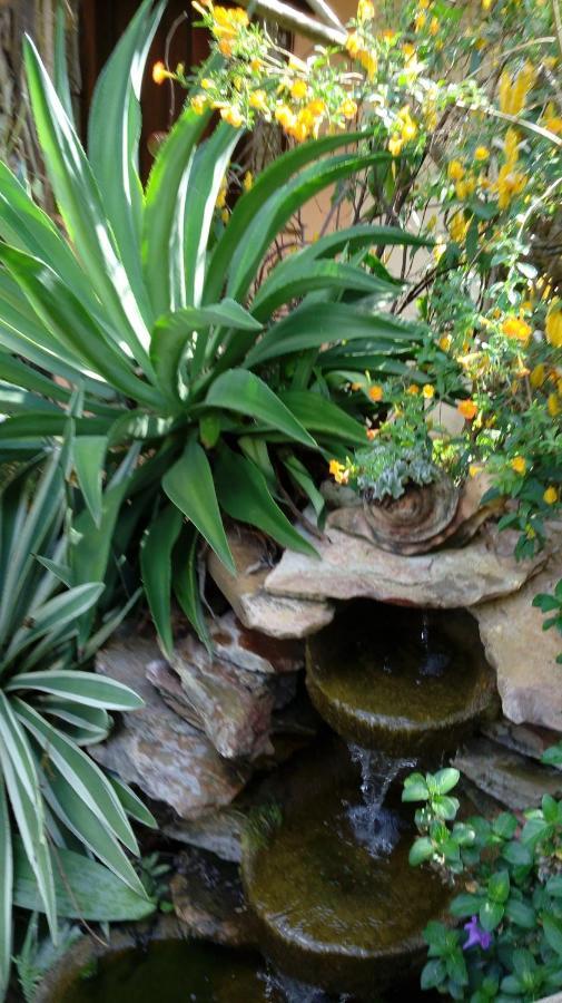 Eco Pousada Jardim Do Eden อัลโต ปาไรโซ เด โกยาส ภายนอก รูปภาพ