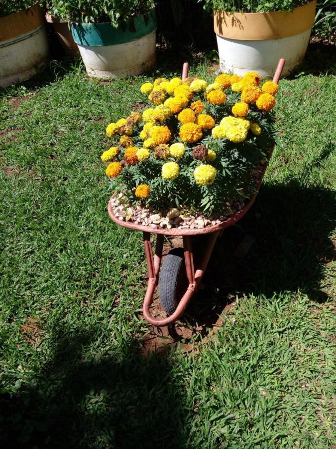 Eco Pousada Jardim Do Eden อัลโต ปาไรโซ เด โกยาส ภายนอก รูปภาพ