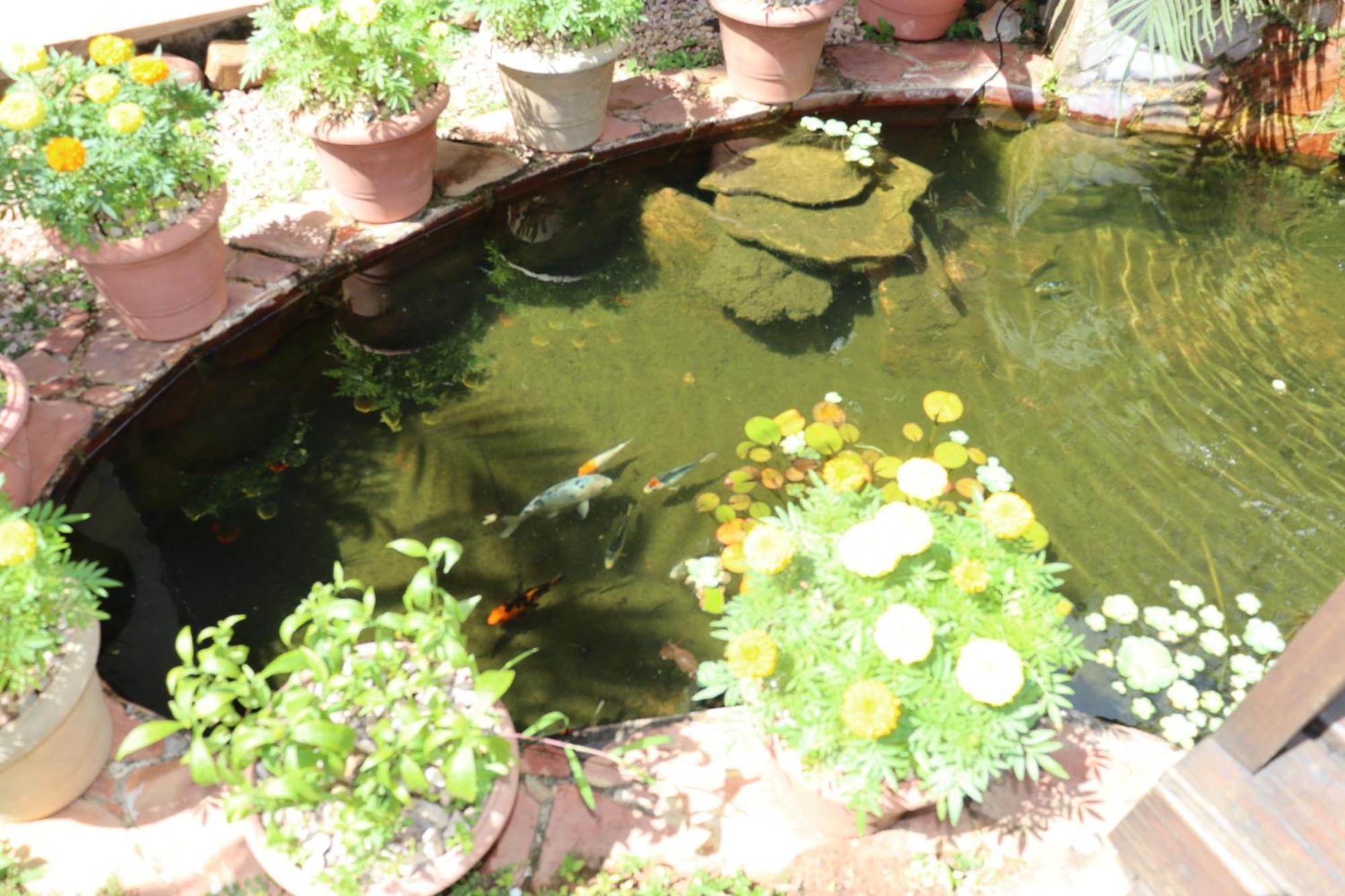 Eco Pousada Jardim Do Eden อัลโต ปาไรโซ เด โกยาส ภายนอก รูปภาพ