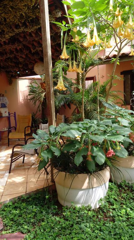 Eco Pousada Jardim Do Eden อัลโต ปาไรโซ เด โกยาส ภายนอก รูปภาพ