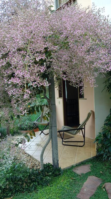 Eco Pousada Jardim Do Eden อัลโต ปาไรโซ เด โกยาส ภายนอก รูปภาพ