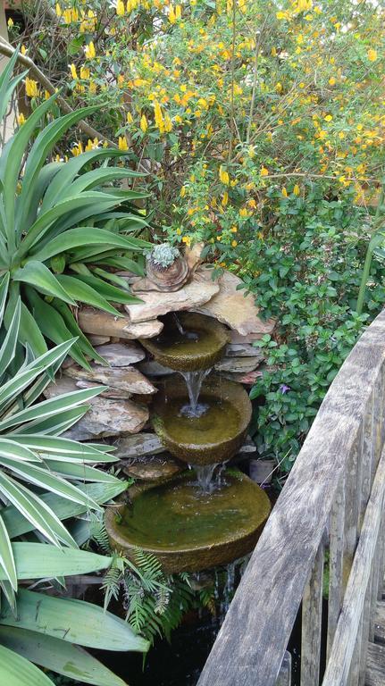 Eco Pousada Jardim Do Eden อัลโต ปาไรโซ เด โกยาส ภายนอก รูปภาพ